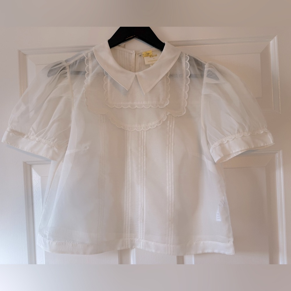 MAEVE Anthropologie sheer blouse